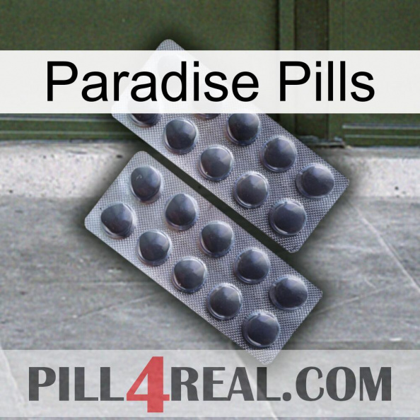 Paradise Pills 31.jpg